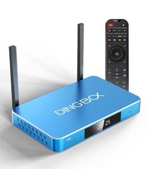 dingbox-d2